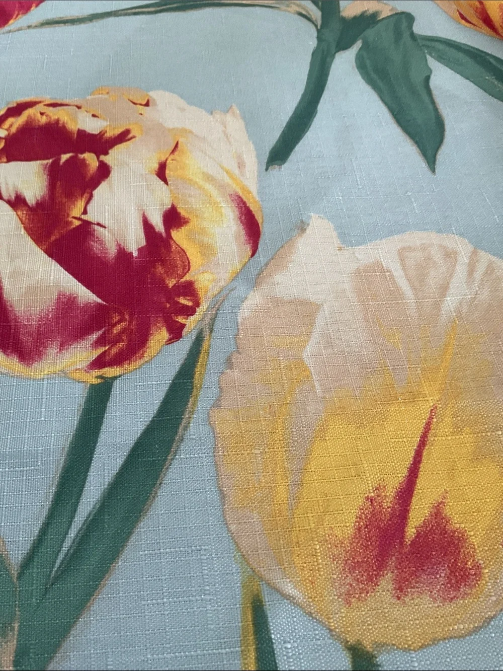 Waverly shower curtain. Big Tulips.